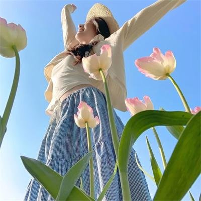 马拉加街夕阳红 海报